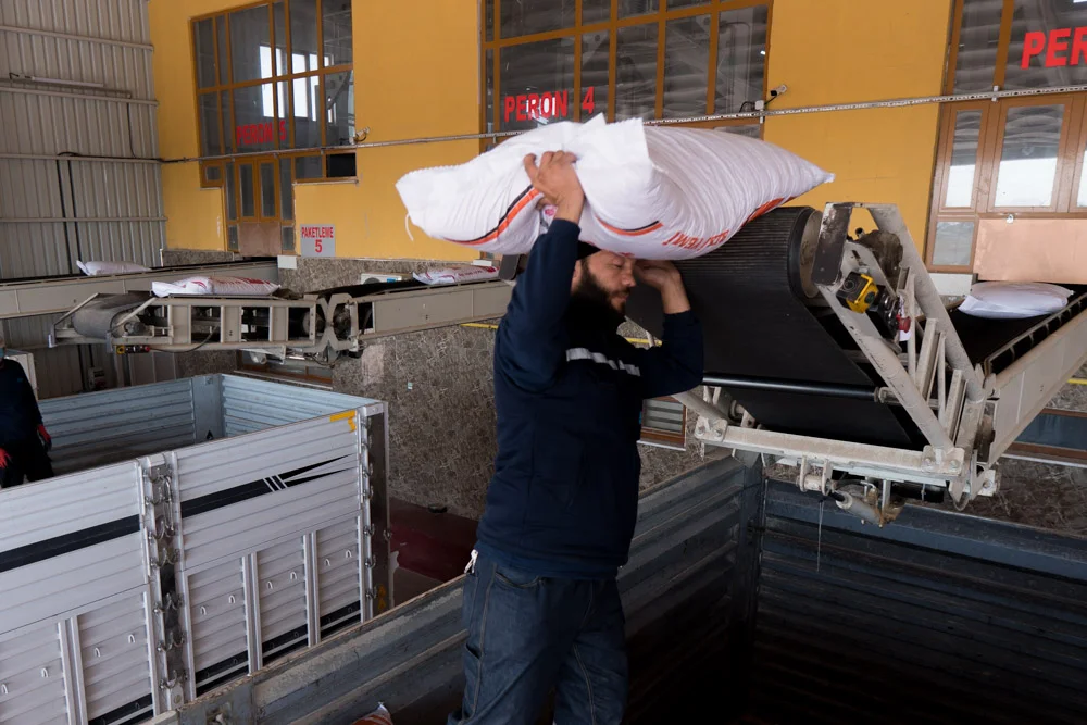 Paketlenen yemlerin araca yüklenmesi